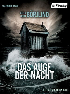 cover image of Das Auge der Nacht